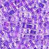 Transparent Inside Colours Glass Seed Beads SEED-T007-11B-2