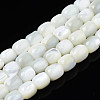 Natural Trochid Shell/Trochus Beads Strands SSHEL-N027-130B-01-1