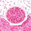 Glass Seed Beads & Bugle Beads SEED-Q041-04B-2
