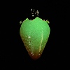 Luminous Acrylic Pendants AC-CBAC788-04D-4