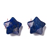 Natural Lapis Lazuli Charms X-G-H241-04A-2