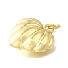 Brass Pendants KK-Z102-08G-01-2