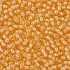 TOHO Round Seed Beads SEED-JPTR11-0955-2