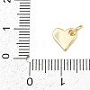 Brass Charms KK-L251-41G-B01-3