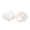 Natural White Shell Carved Cabochons SHEL-G024-05-2