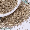 MIYUKI Delica Beads SEED-MY11-DB0411-1
