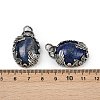 Dyed Natural Lapis Lazuli Pendants G-Z101-02AS-09-4