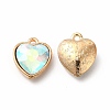 Faceted Glass Rhinestone Pendants GLAA-I051-B05-1