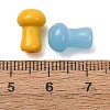 Transparnt & Opaque Glass Beads GL-CBA1F09-02-3