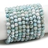 Natural Larimar Beads Strands G-F785-B01-02-2