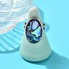 Brass & Natural Paua Shell Link Finger Rings RJEW-S638-01P-1