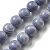 Synthetic Blue Lace Agate Beads Strands G-B071-F02-02-1