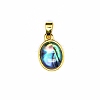 Natural Abalone Shell Charms PW-WG4179D-01-1