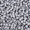 FGB Baking Paint Glass Seed Beads SEED-Q040-09A-17-3
