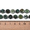 Natural African Turquoise(Jasper) Beads Strands G-P534-A26-02-5