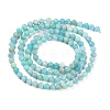 Natural Amazonite Beads Strands X-G-P500-01B-01-3