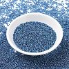 MIYUKI Round Rocailles Beads X-SEED-G007-RR1025-2