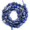 Natural Lapis Lazuli Beads Strands G-S359-155-2