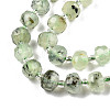 Natural Prehnite Beads Strands G-N327-08H-3