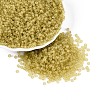 (Repacking Service Available) Glass Seed Beads SEED-C017-3mm-M2-6