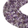 Natural Amethyst Beads Strands G-P581-B01-01-1
