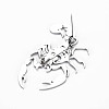 Scorpion Brooch JEWB-N007-005P-FF-2