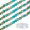 DIY Natural Regalite/Imperial Jasper/Sea Sediment Jasper Beads Bracelets  Making KIts DIY-TA0002-69A-3