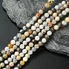 Natural Bamboo Leaf Agate Round Beads Strands G-M248-4mm-04-1