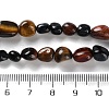 Natural Tiger Eye Beads Strands G-P497-01C-24-5