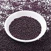 MIYUKI Round Rocailles Beads X-SEED-G007-RR0460-2