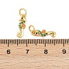 Brass Micro Pave Cubic Zirconia Charms KK-H093-17B-G-3