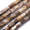 Natural Petrified Wood Beads Strands G-K293-J02-E-1