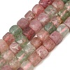 Natural Red and Green Strawberry Quartz Beads Strands GG-NH0006-A01-2