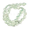 Natural Prehnite Beads Strands G-F790-H03-03-3