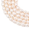 Natural Cultured Freshwater Pearl Beads Strands PEAR-F020-21-4