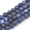 Natural Sodalite Beads Strands G-T106-054-1