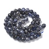 Natural Iolite/Cordierite/Dichroite Beads Strands G-L651-C03-6mm-3