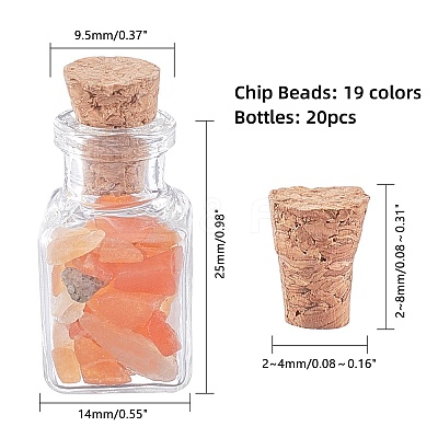19Pcs Various Gemstone No Hole Chips in Bottles G-PH0034-50-1