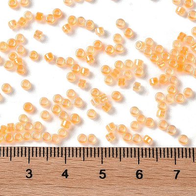 Glass Seed Beads SEED-S042-13A-05-1