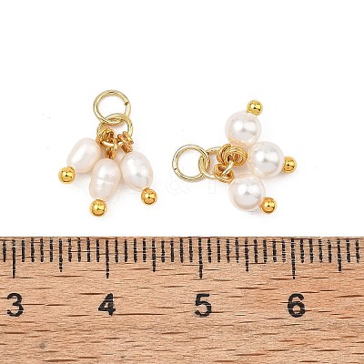 4Pcs 4 Styles Shell Pearl and Natural Pearl Pendants PALLOY-JF05632-1