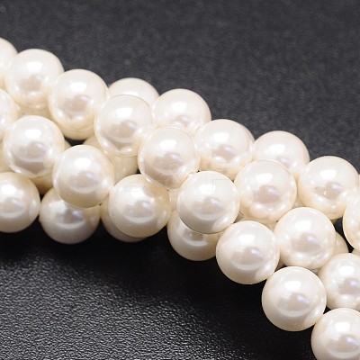 Shell Pearl Beads Strands X-BSHE-E008-16mm-12-1