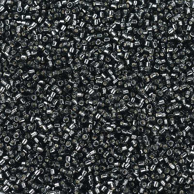 MIYUKI Delica Beads X-SEED-J020-DB0613-1