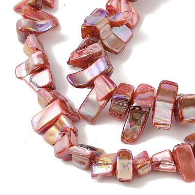 Natural Freshwater Shell Beads Strands BSHE-H018-07-1