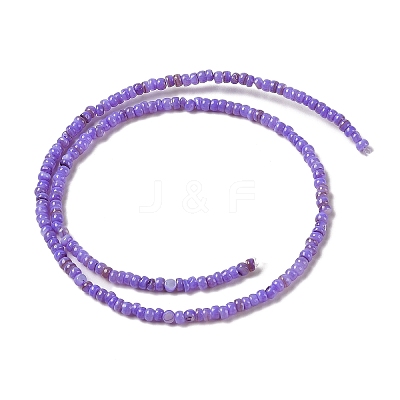Natural Freshwater Shell Beads Strands SHEL-P017-01B-04-1