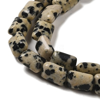 Natural Dalmatian Jasper Beads Strands G-G085-A13-01-1