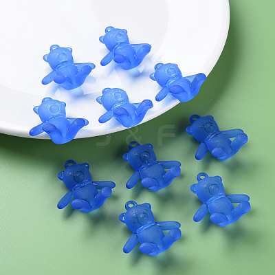 Frosted Acrylic Pendants MACR-S373-60K-06-1