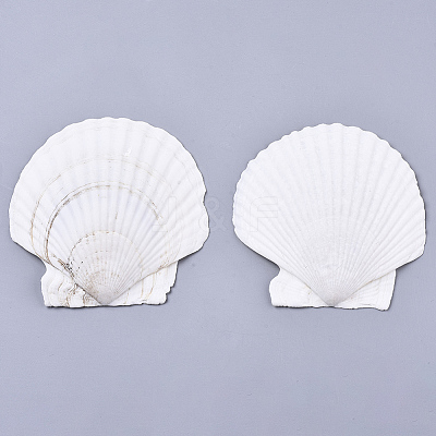 Natural Shell Beads SSHEL-S258-72-1