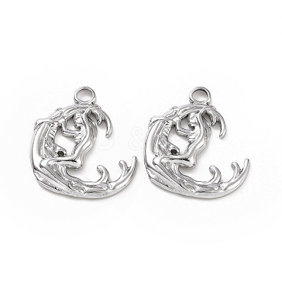 Non-Tarnish 304 Stainless Steel Pendant LS-STAS-C003-02P-1