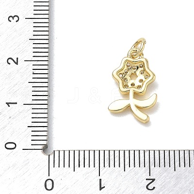 Brass with Rhinestone Pendants KK-CBAD872-01G-06-1