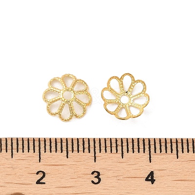 316 Stainless Steel Bead Caps STAS-C080-02A-G-1